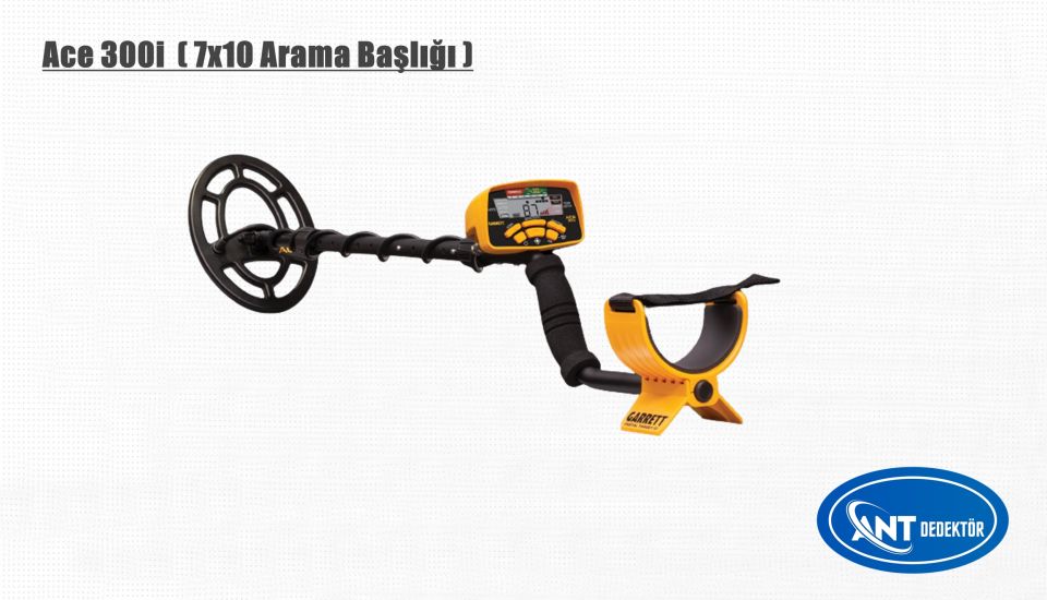 Ace 300i Dedektör